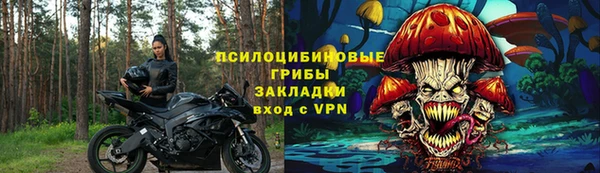 дживик Абаза